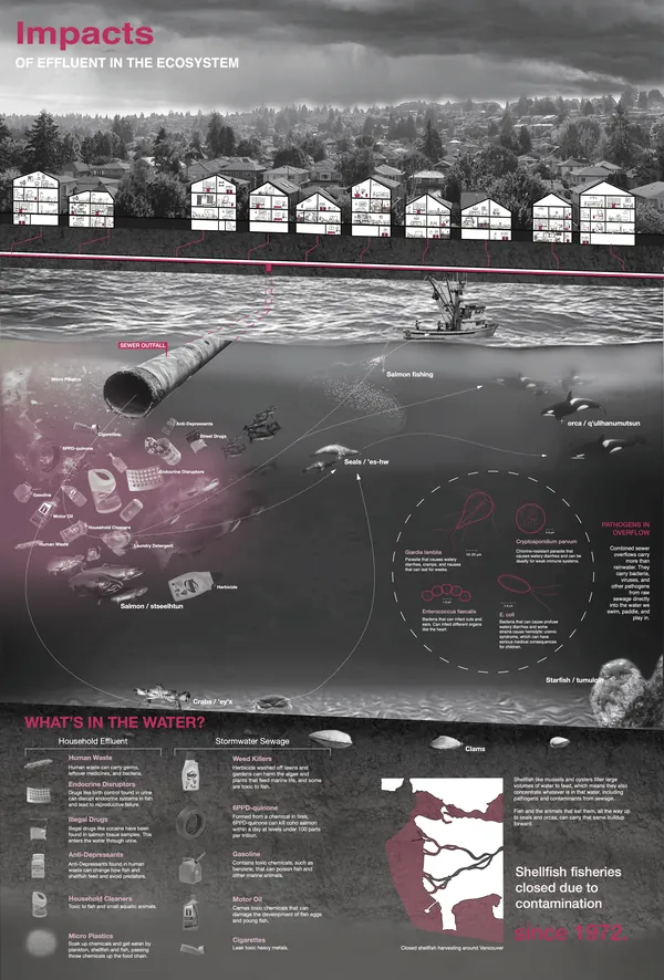 Effluent Ecosystems exhibition, part 3 of 6